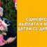 В Ленобласти напомнили о юбилейных выплатах - Газета Выборг