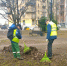. - Выборгский район