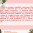 * - Vbgcity.Ru