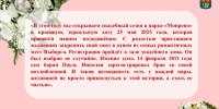 * - Vbgcity.Ru