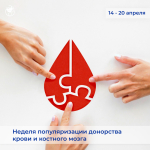 14-20 апреля: Неделя популяризации донорства крови и костного мозга (в честь Дня донора в России 20 апреля)