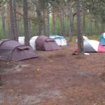 Лагерь следопытов в пос. Лосево: Начало нового приключения