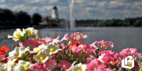 В Выборге вновь собираются благоустраивать дворы - Газета Выборг
