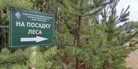 Фото: Комитет по природным ресурсам Ленобласти / ВКонтакте - Газета Выборг