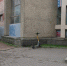1 - Vbgcity.Ru