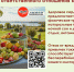 . - Выборгский район