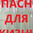 фото создано при помощи ИИ - Выборгский район