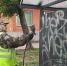 1 - Vbgcity.Ru