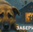 . - Выборгский район
