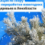 . - Выборгский район