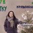Вторая жизнь новогодней ели: экологичная утилизация - Газета Выборг