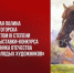 Гордость Светогорска: Полина Садовская – лауреат всероссийского конкурса - Газета Выборг