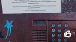 Двум выборгским управляющим организациям назначены административные штрафы