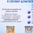 * - Vbgcity.Ru