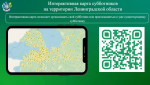 Фото: пресс-служба Правительства Ленобласти