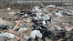 Фото: Комитет государственного экологического надзора